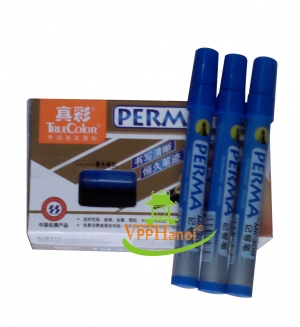 Bút dạ dầu TrueColor 308